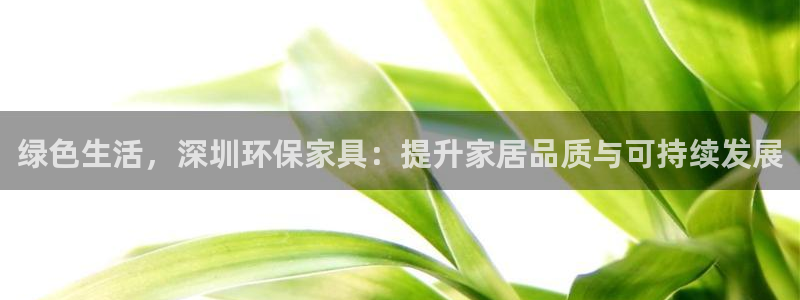 沐鸣2代理注册中心：绿色生活，深圳环保家具：提升家居品质与可