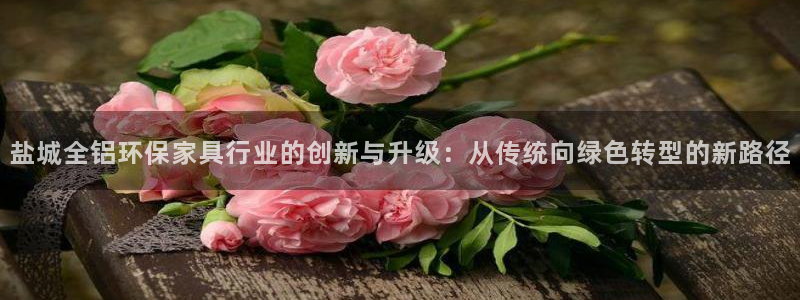 沐鸣2平台地址：盐城全铝环保家具行业的创新与升级：从传统向绿