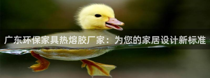沐鸣2平台首页：广东环保家具热熔胶厂家：为您的家居设计新标准