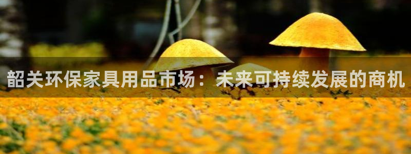 沐鸣2官网主管：韶关环保家具用品市场：未来可持续发展的商机