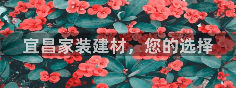 沐鸣2平台娱乐登陆
