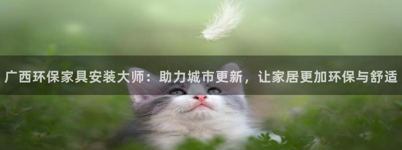 沐鸣2代理连接：广西环保家具安装大师：助力城市更新，让家居更
