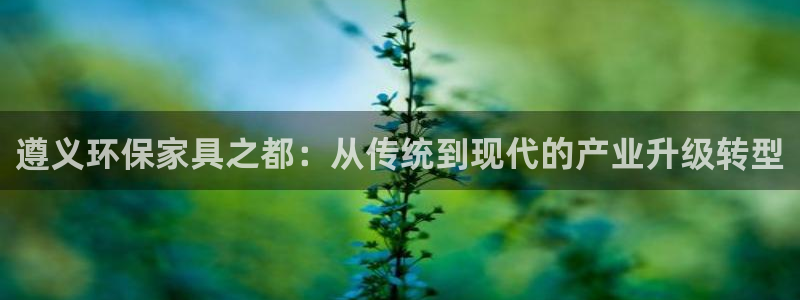 沐鸣2平台官方网站下载：遵义环保家具之都：从传统到现代的产业